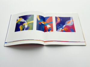 Broschure colorland, Inhalt